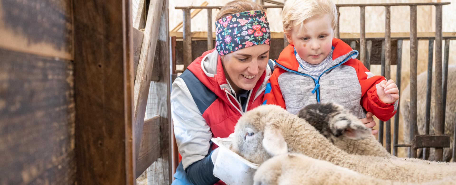 Alm-Resort Frühauf, Innerkrems 073-21 ©FRANZGERDL HO-Frühauf Winter-I _1479