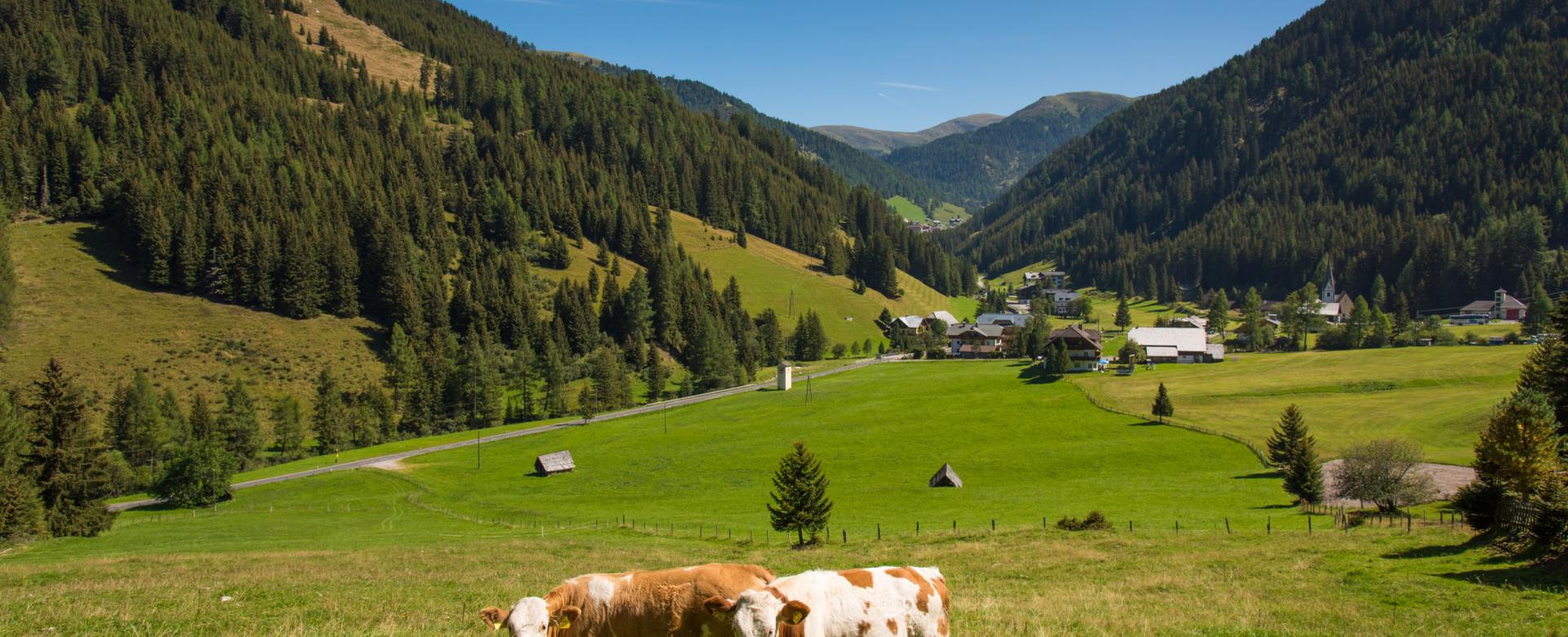 Alm-Resort Frühauf, Innerkrems 005-15 ©FranzGERDL Innerkrems _6557