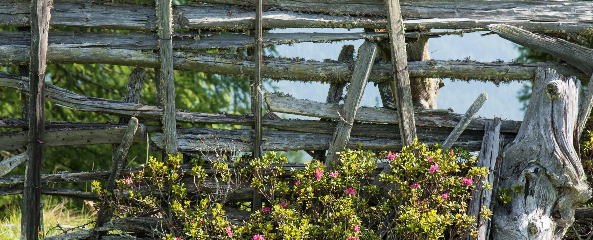 Alm-Resort Frühauf, Innerkrems 047-16 ©FRANZGERDL Nockberge_GNESAU web_1876