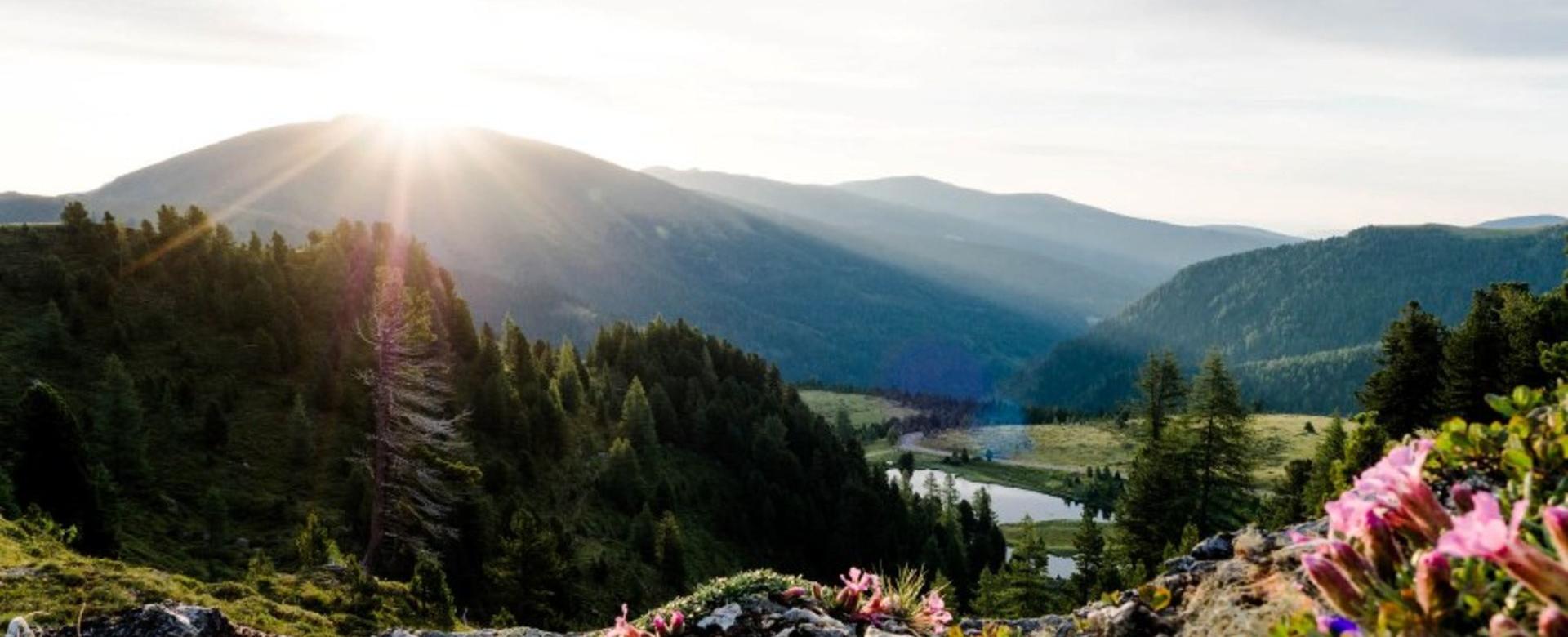 Alm-Resort Frühauf, Innerkrems rosanintal