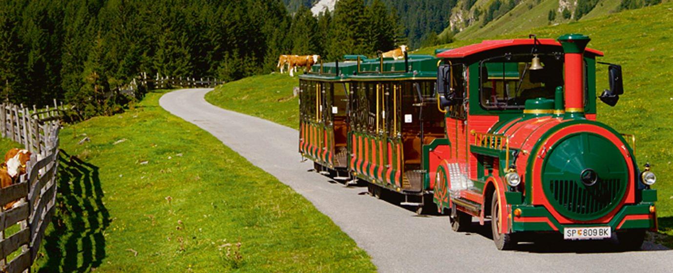 Alm-Resort Frühauf, Innerkrems 78_Tschu-Tschu-Bahn-Rennweg_main