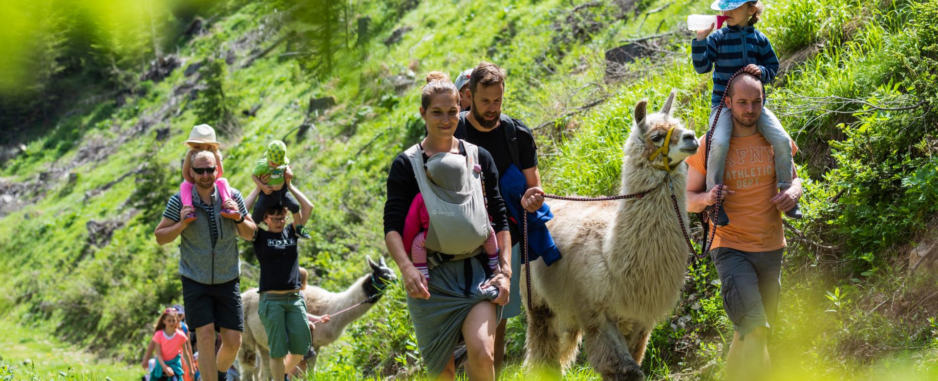 Alm-Resort Frühauf, Innerkrems 005-19 ©FRANZGERDL HO-Fruehauf _4681