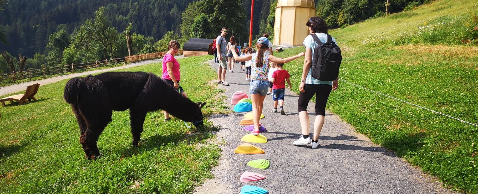 Alm-Resort Frühauf, Innerkrems energieerlebnisweg