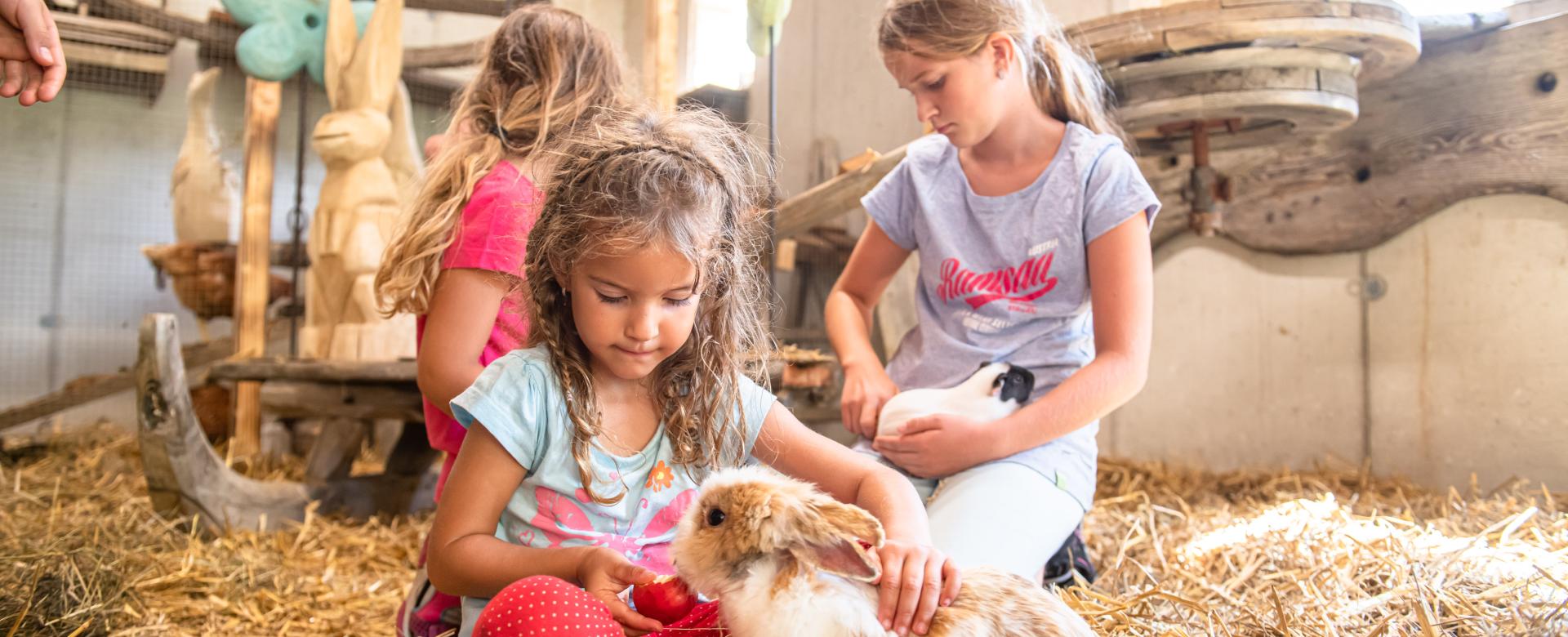 Alm-Resort Frühauf, Innerkrems 077-20 ©FRANZGERDL HO-Frühauf Family _4731