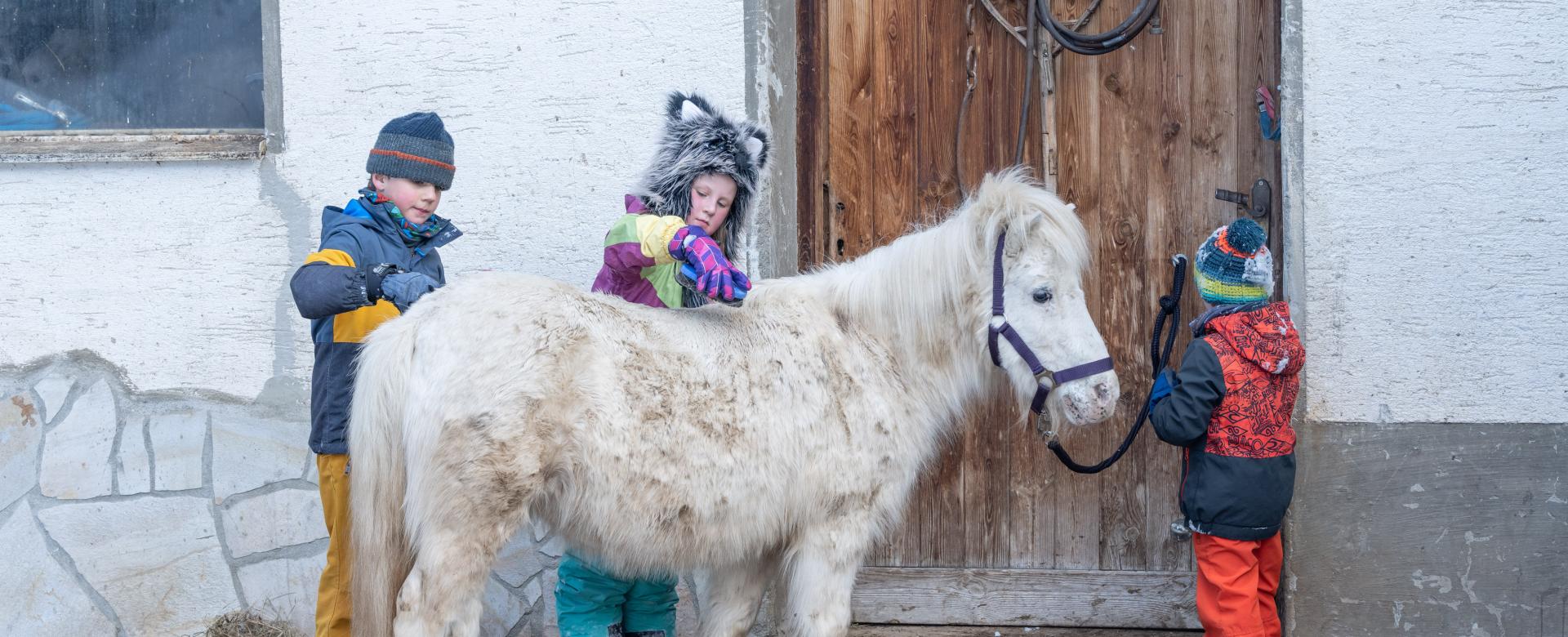 Alm-Resort Frühauf, Innerkrems 036-21 ©FRANZGERDL HO-Frühauf Winter-I _1077