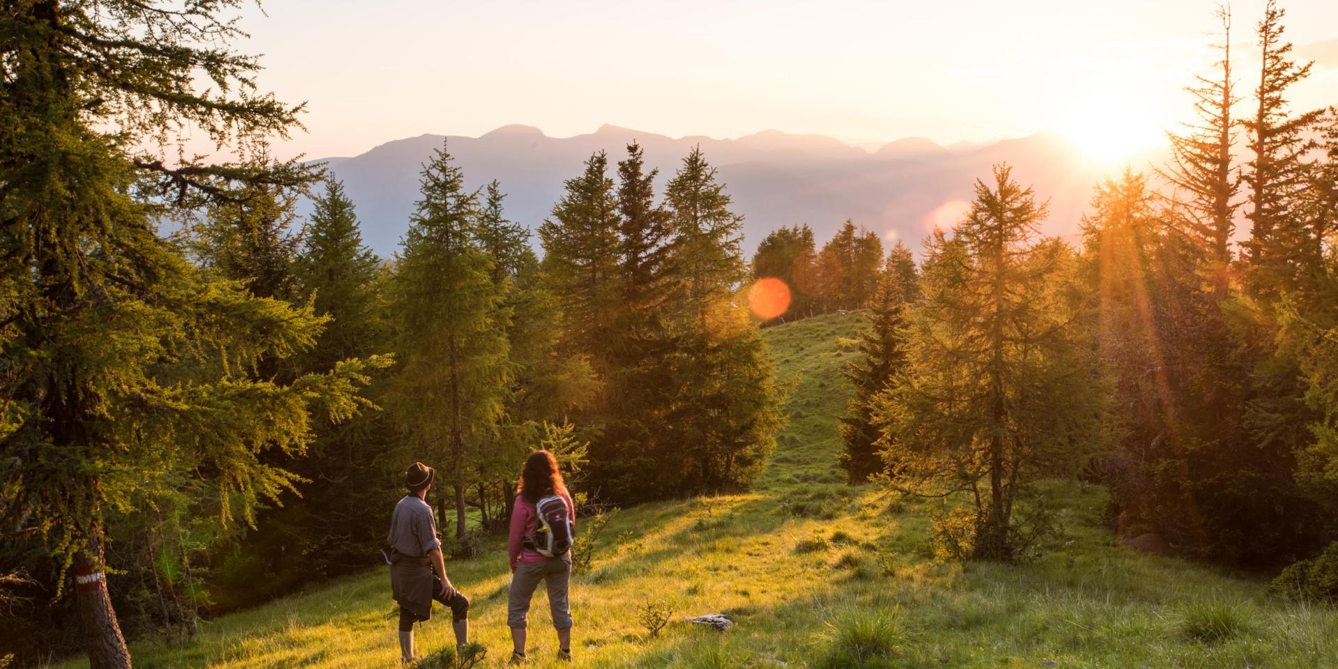 113-16 &copy;FRANZGERDL Nockberge_DG-HR web_1042