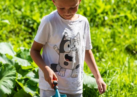 118-25 &copy;FRANZGERDL_HO-Frühauf_8656