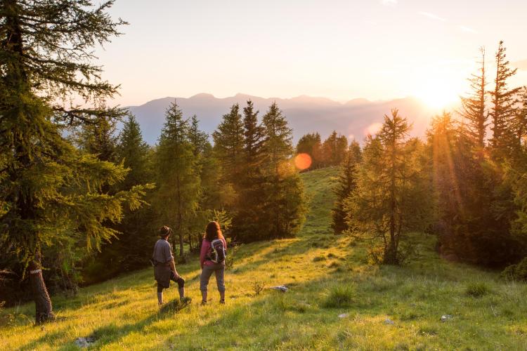 113-16 &copy;FRANZGERDL Nockberge_DG-HR web_1042