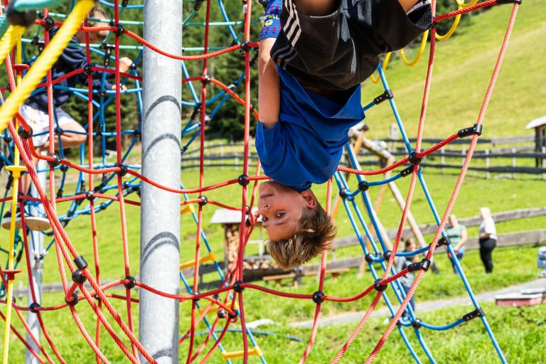 051-25 &copy;FRANZGERDL_HO-Frühauf_8309